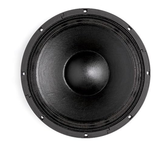 B&C Speakers ALT15NW768M 15-inch Woofer 600 Watts Rms 1200 Watts Peak 8 Ohms Double Silicone Spider Ventilated Voice Coil Gap Loudspeaker Motorcycle Car Pro Audio Components Speaker - 15NW76-8
