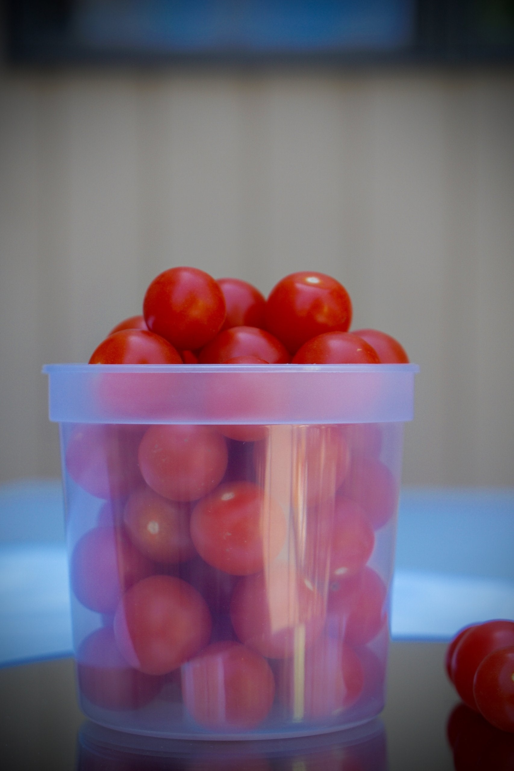 Nicole Home Collection Deli Food Storage Containers with Lids, 24-Ounce, 24-Pack, Leak Proof, Airtight, Microwave & Dishwasher Safe, Stackable, Reusable, And BPA Free