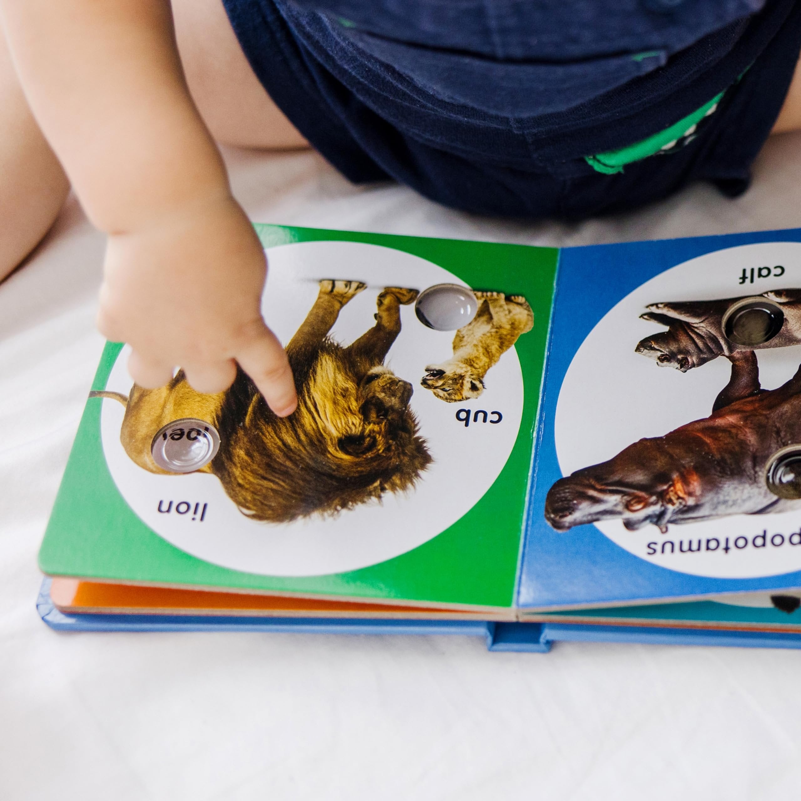 Melissa & Doug Children’s Book – Poke-a-Dot: Wild Animal Families (Board Book with Buttons to Pop)