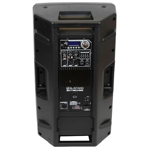 BLASTKING BDT15CMB2 15 inch 1000 Watts Active and Passive Speaker Box System w/Mic and Stand