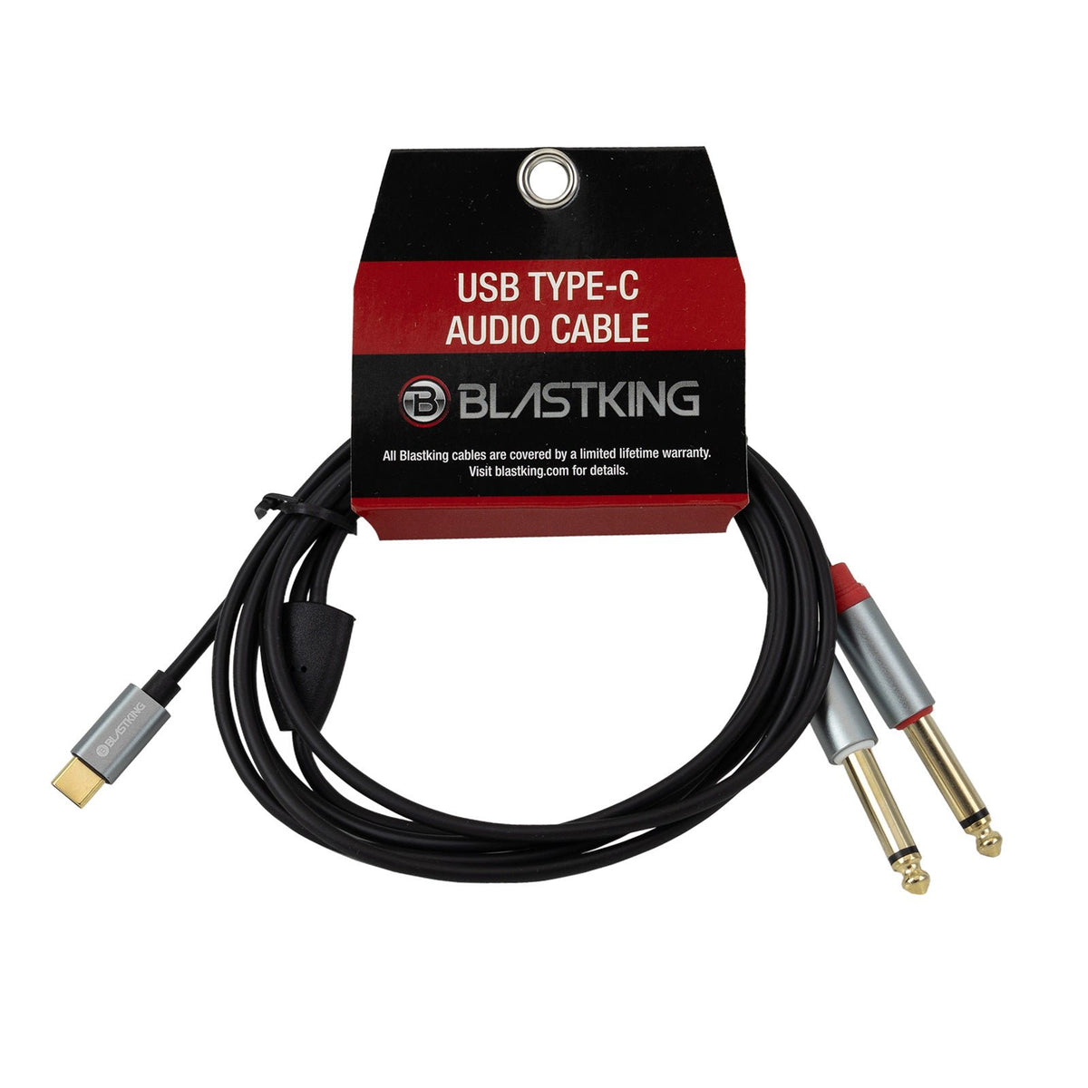 6ft USB-C to Dual 1/4" Audio Cable by Blastking USA