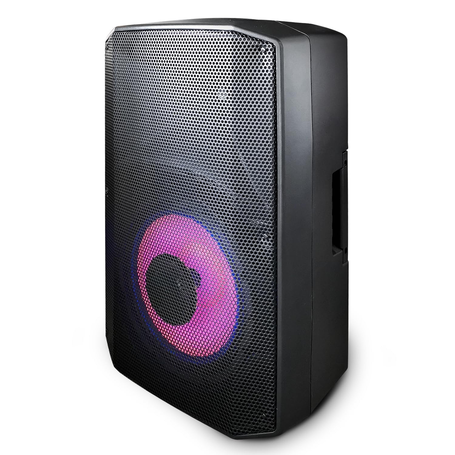 Moonki Sound MS-112DSP Active DSP Professional Speaker – Black