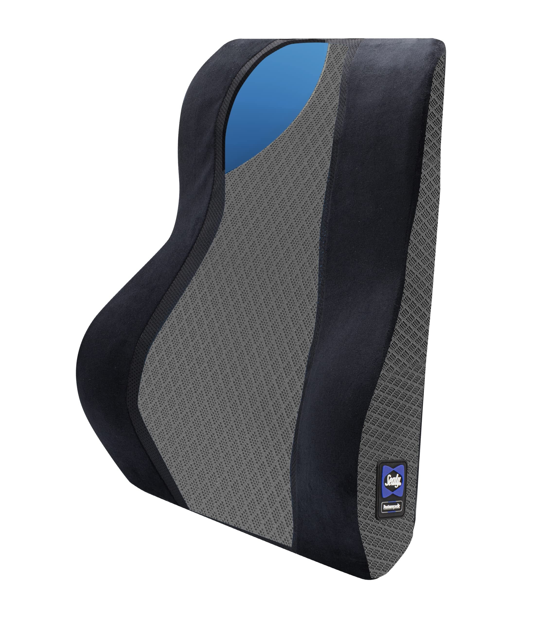 Sealy Memory Foam Cushion
