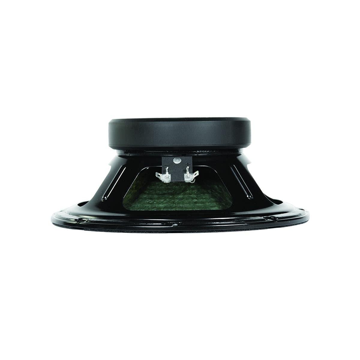 Eminence Speaker Case (Cannabis Rex 10)