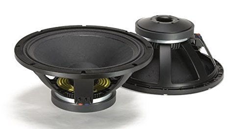 RCF L18P300 18-Inch Car and DJ Woofer, Black
