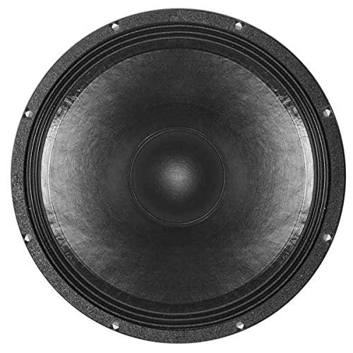 B&C 15" WOOFER