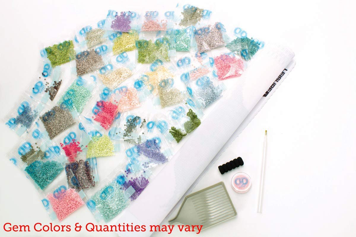 Diamond Art By Leisure Arts DMA Kit 14x16 Advanced Guitar