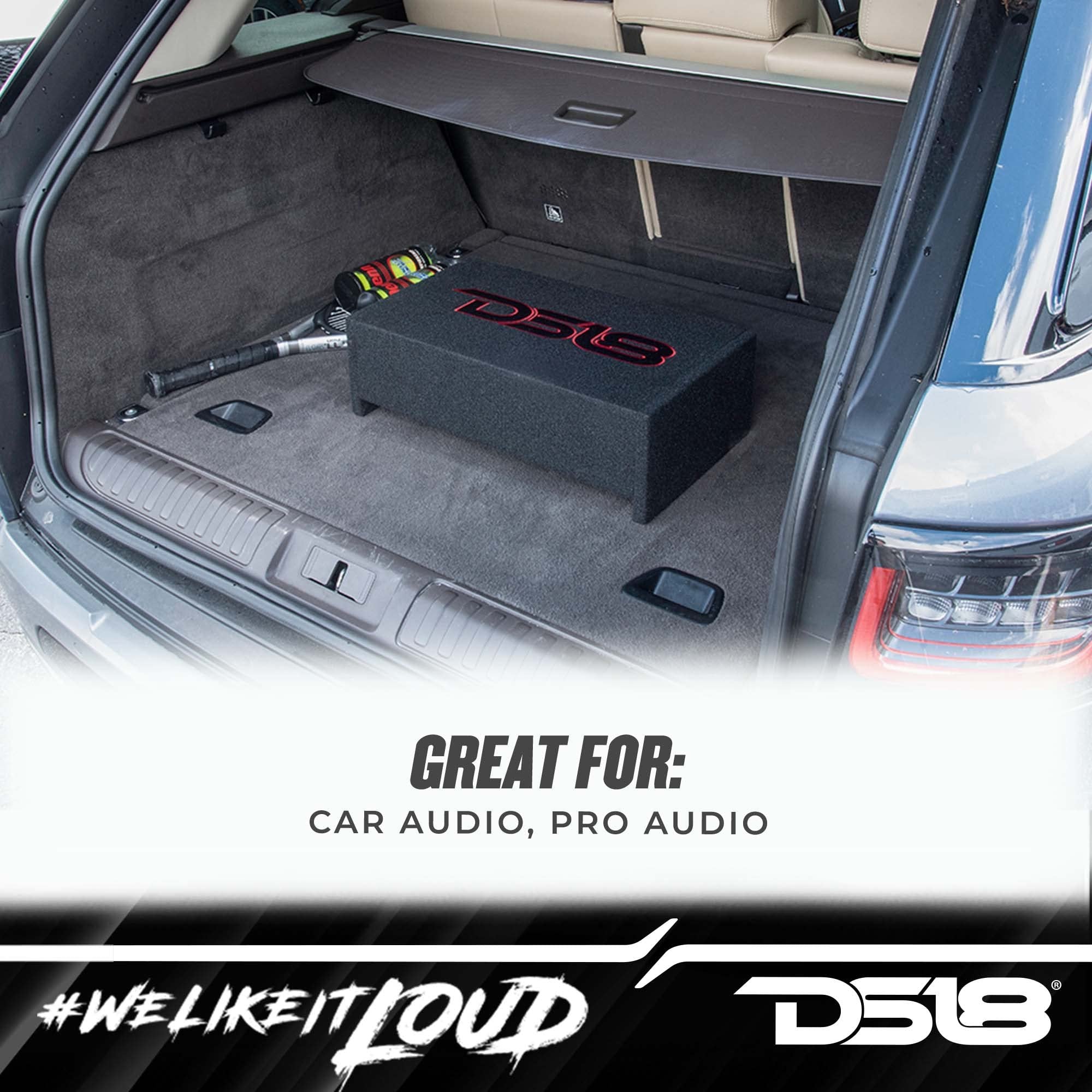 DS18 EN-DF10A 10" Amplified Thin Shallow Down-Firing Subwoofer Enclosure 500 Watts - Powered Subwoofer Box Compact Sealed Design for Car & Trucks