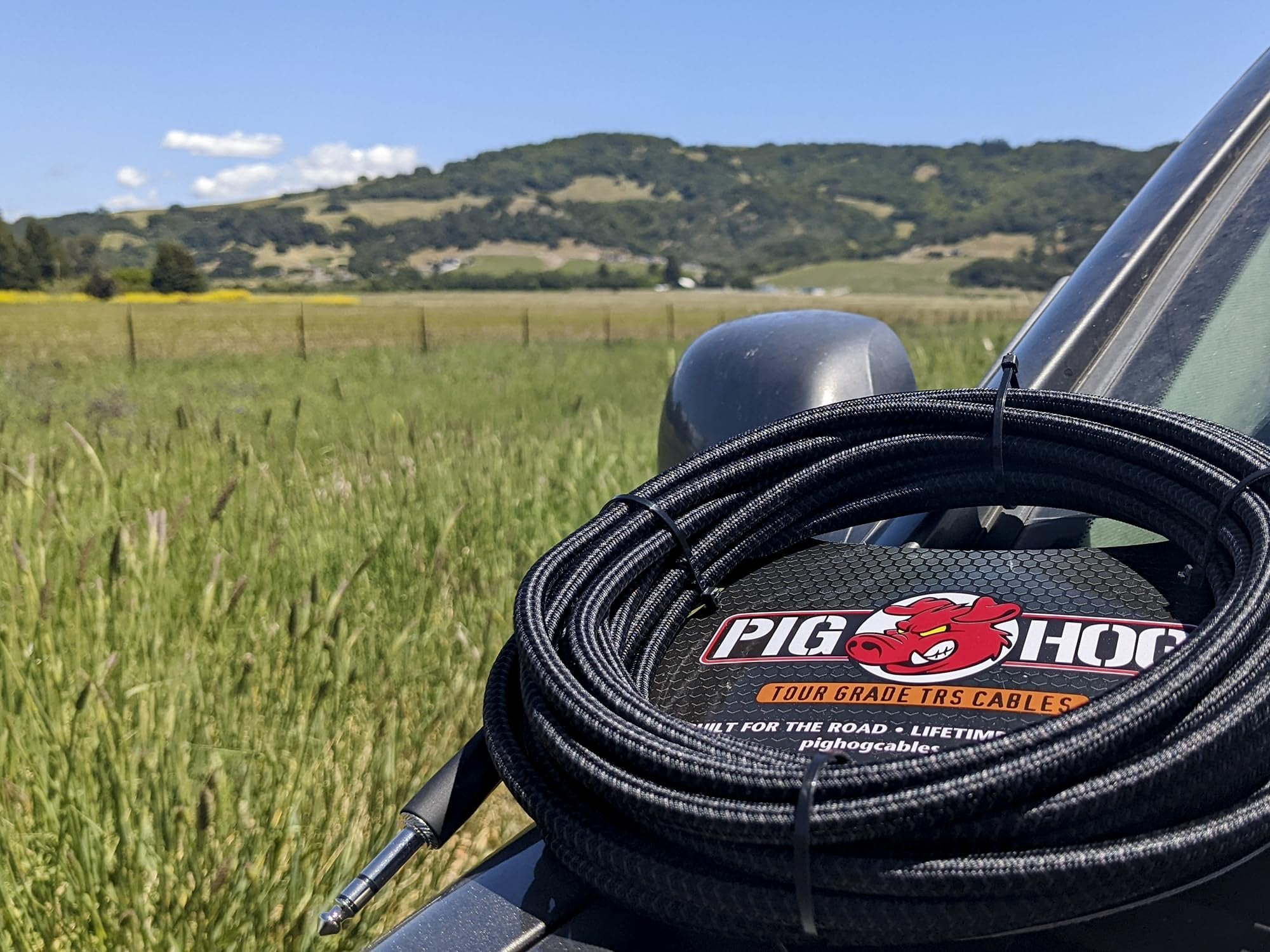 Pig Hog PTRS10 High Performance 1/4" TRS Instrument Cable, 10 Feet