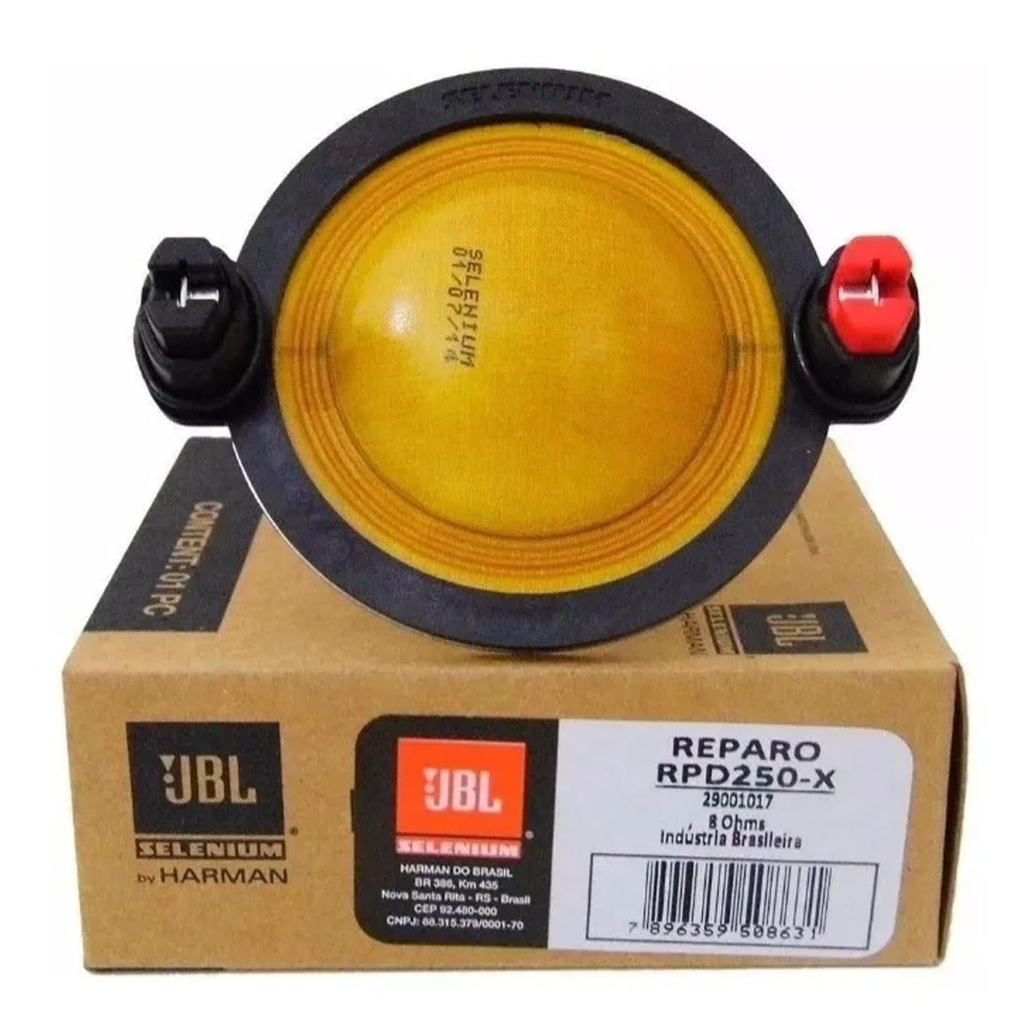 Selenium RPD250X -Watt -Channel Studio Subwoofer, Black