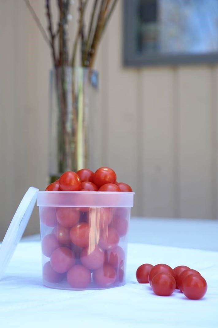 Nicole Home Collection Deli Food Storage Containers with Lids, 24-Ounce, 24-Pack, Leak Proof, Airtight, Microwave & Dishwasher Safe, Stackable, Reusable, And BPA Free