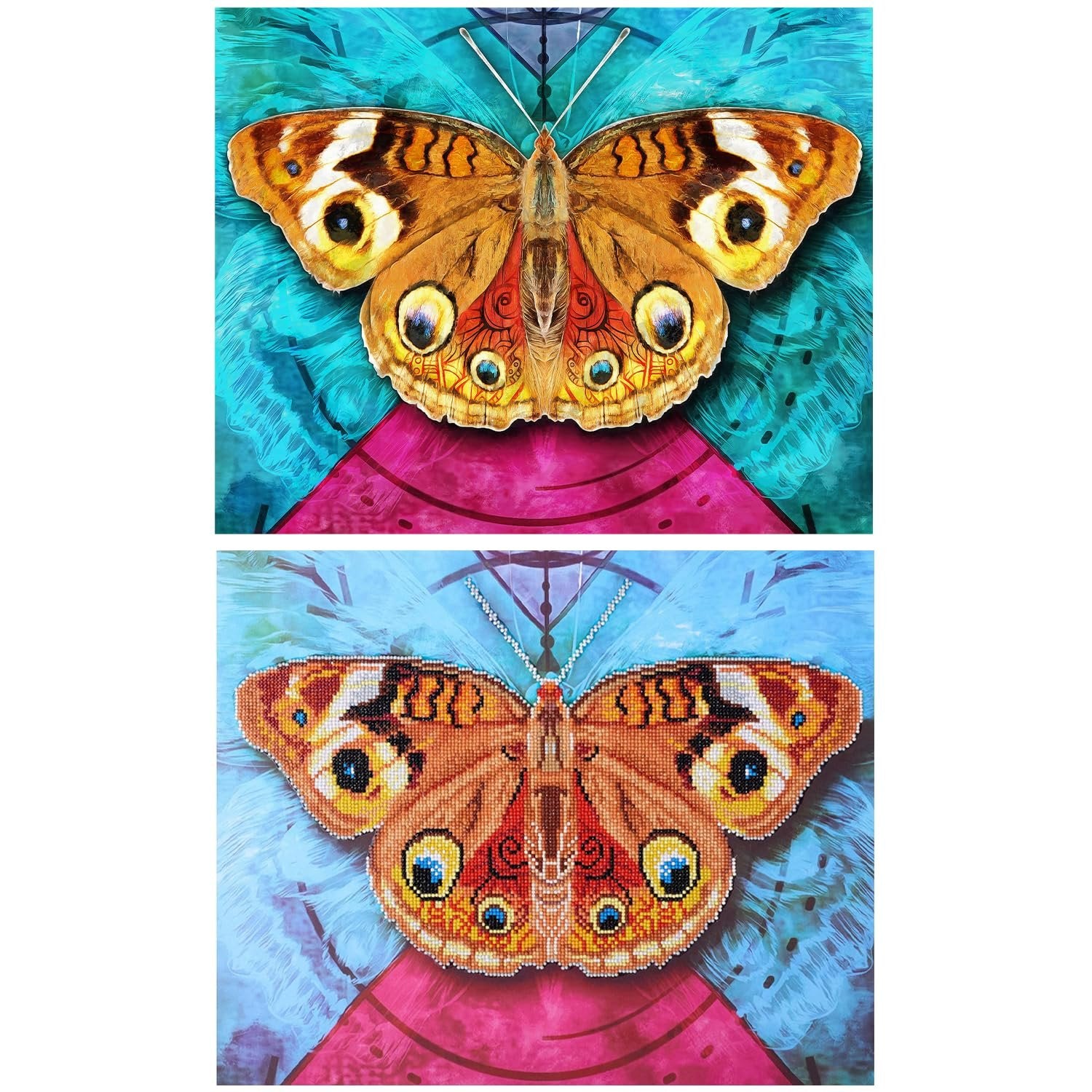 Leisure Arts Moth DIAMND Art KIT 16X20