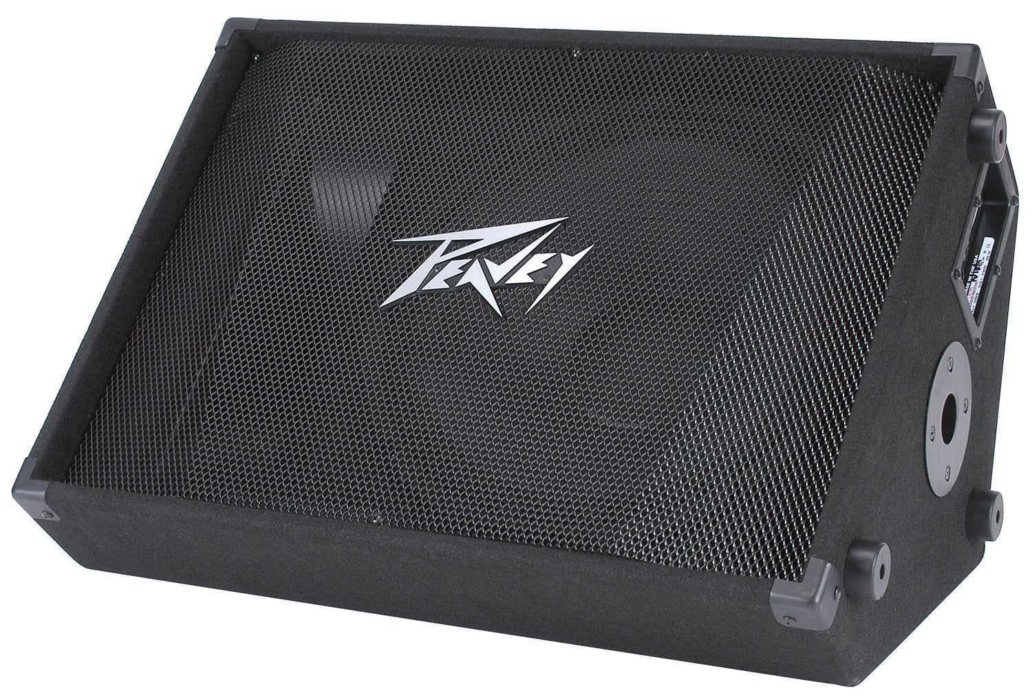 Peavey PV 15M 2-Way Floor Monitor