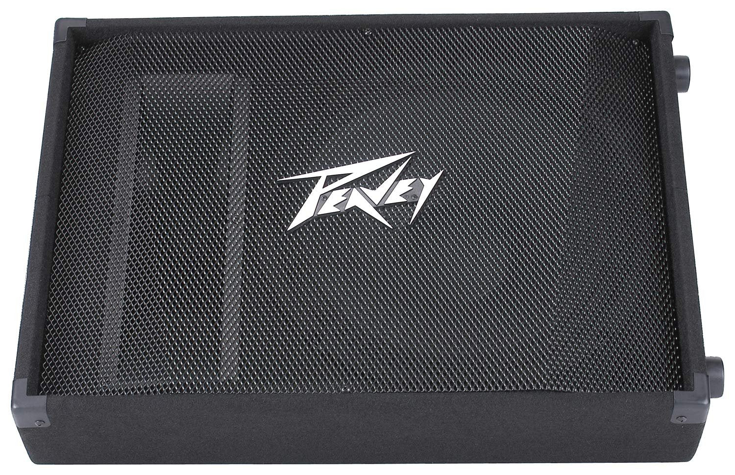 Peavey PV 15M 2-Way Floor Monitor