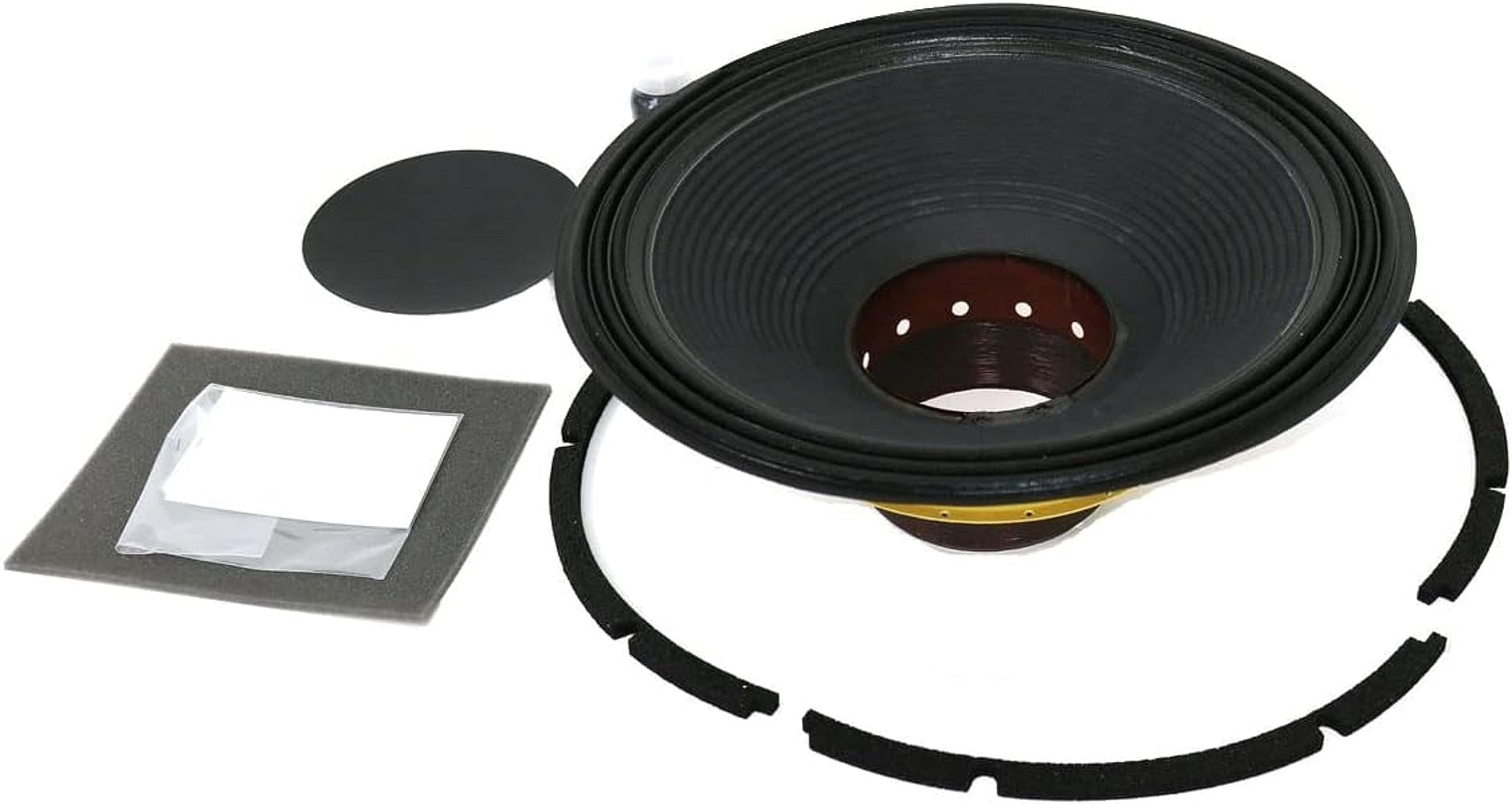 B&C Speakers RCK18DS1158 Recone Kit for 18DS115 8 Ohm Subwoofer Speaker