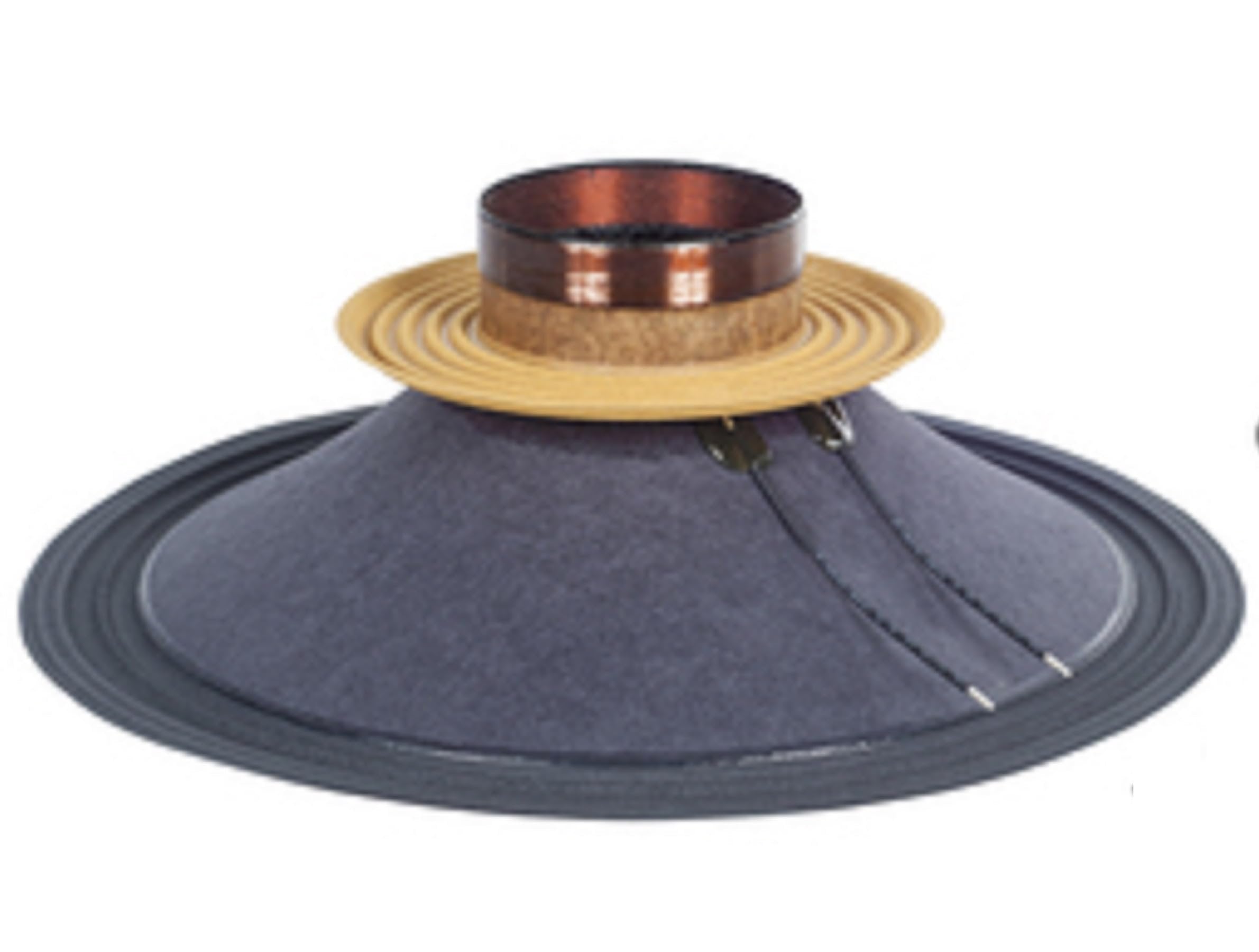 B&C Speakers RCK012MH328 12-inch Recone Kit for 12MH32 8-Ohm 800 Watts Professional Midbass Speaker Replacement Diaphragm