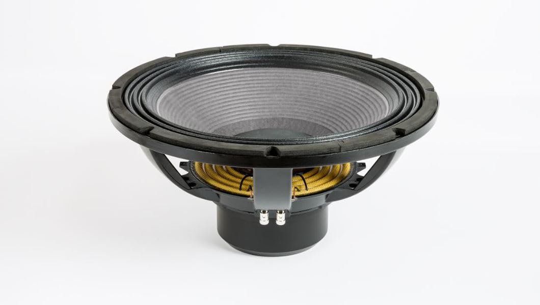 Eighteen Sound 18NLW4500.8 18-inch Extended Low Frequency High Power Loudspeaker 1600 Watts RMS 3600 Watts Peak Pro Audio Component Speaker Driver for Motorcycle Car Audio