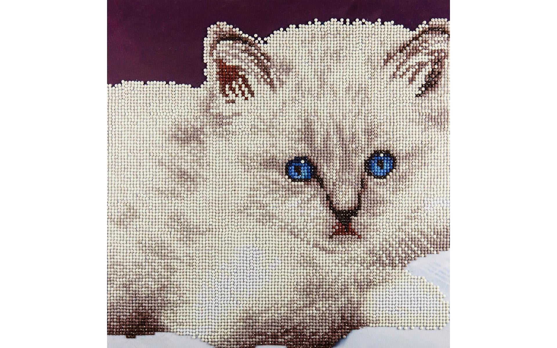 Diamond Art By Leisure Arts Diamond Painting Kits For Adults 12"X12" Intermediate White Cat, Full Drill, Art Kits, Dimond Art, For Adults, Kit