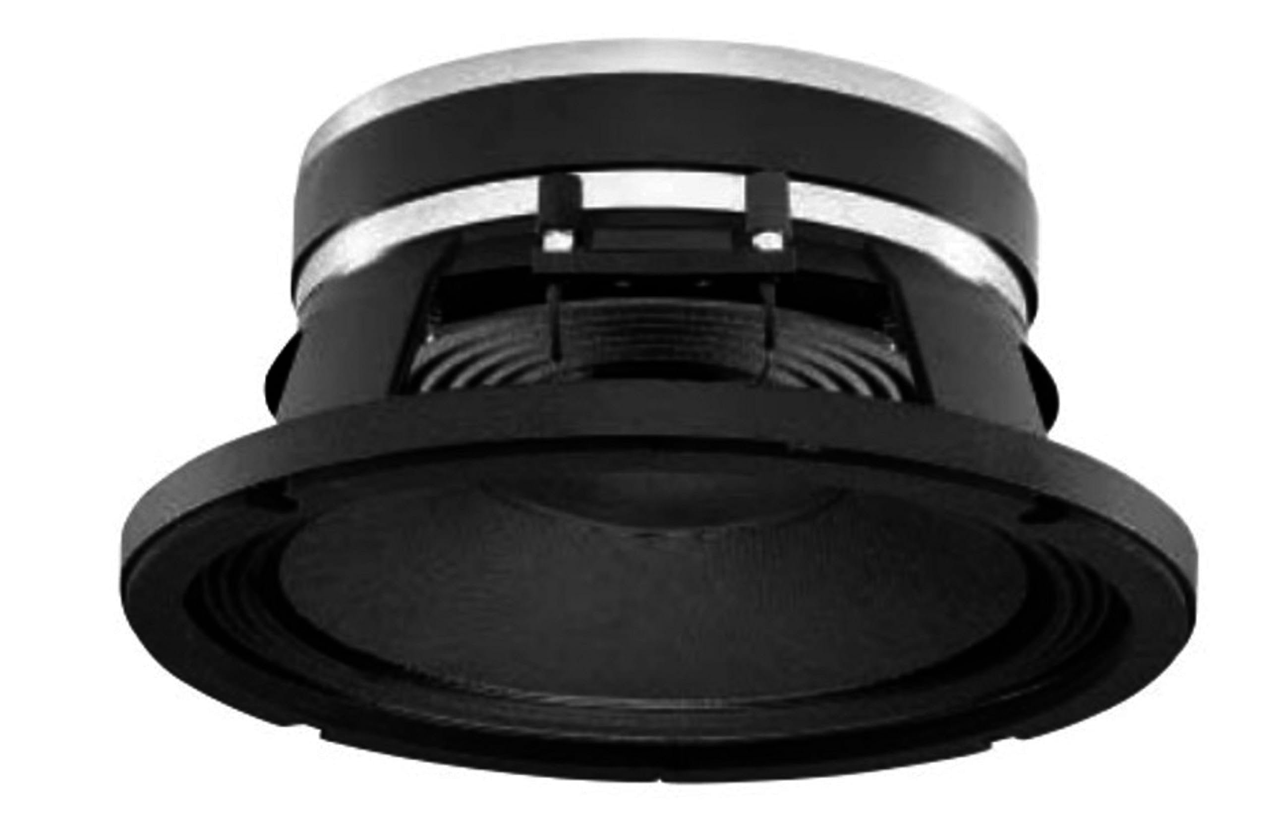 B&C Speakers 10PE26-8 LF Drivers 10-inch High Efficiency Mid-Bass, 2.5-inch Aluminium Voice Coil 250 Watts Rms 500 Watts Max 8 Ohms Pro Audio Component Speaker Driver for Motorcycle Car