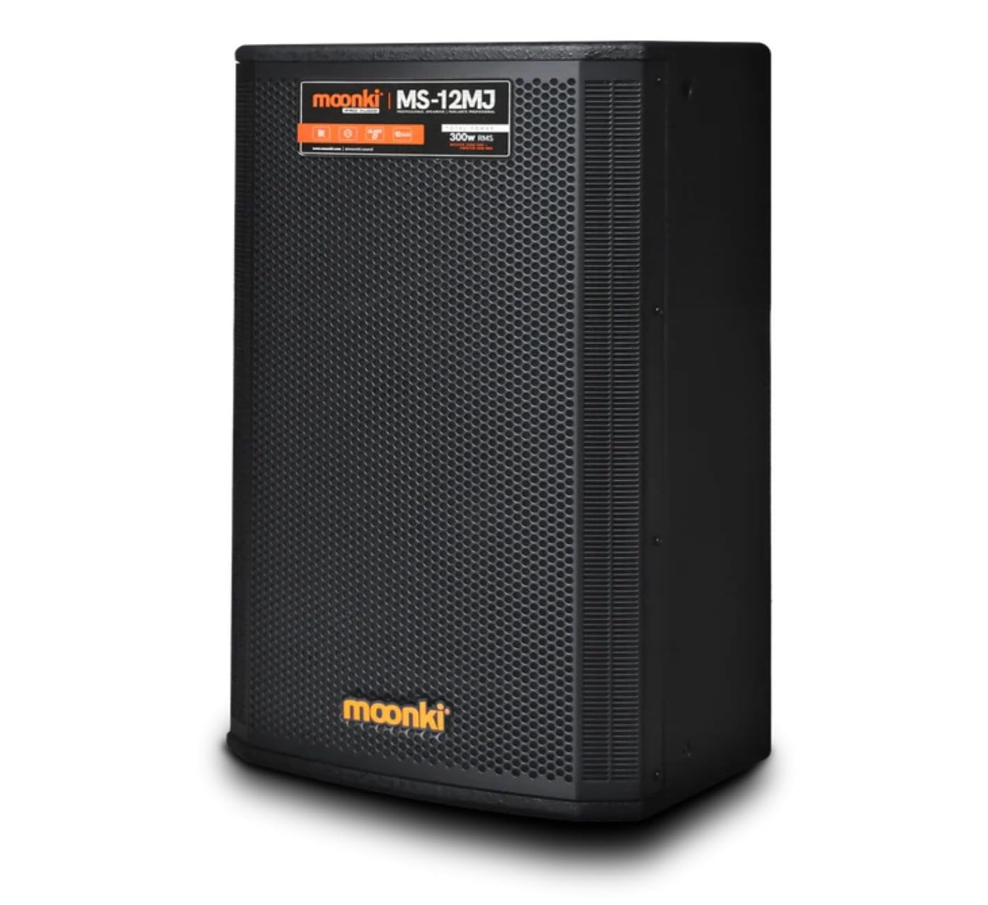 Moonki Sound MS-12MJ Pro Audio Speaker 12-inch Woofer Class D Amplifier with DSP Digital Sound Processor DJ Setups Live Performances