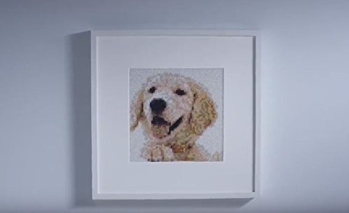 Goliath 35875 Photo Pearls Animal Assortment - Picture Assembly Kit (3600Piece), Multicolor