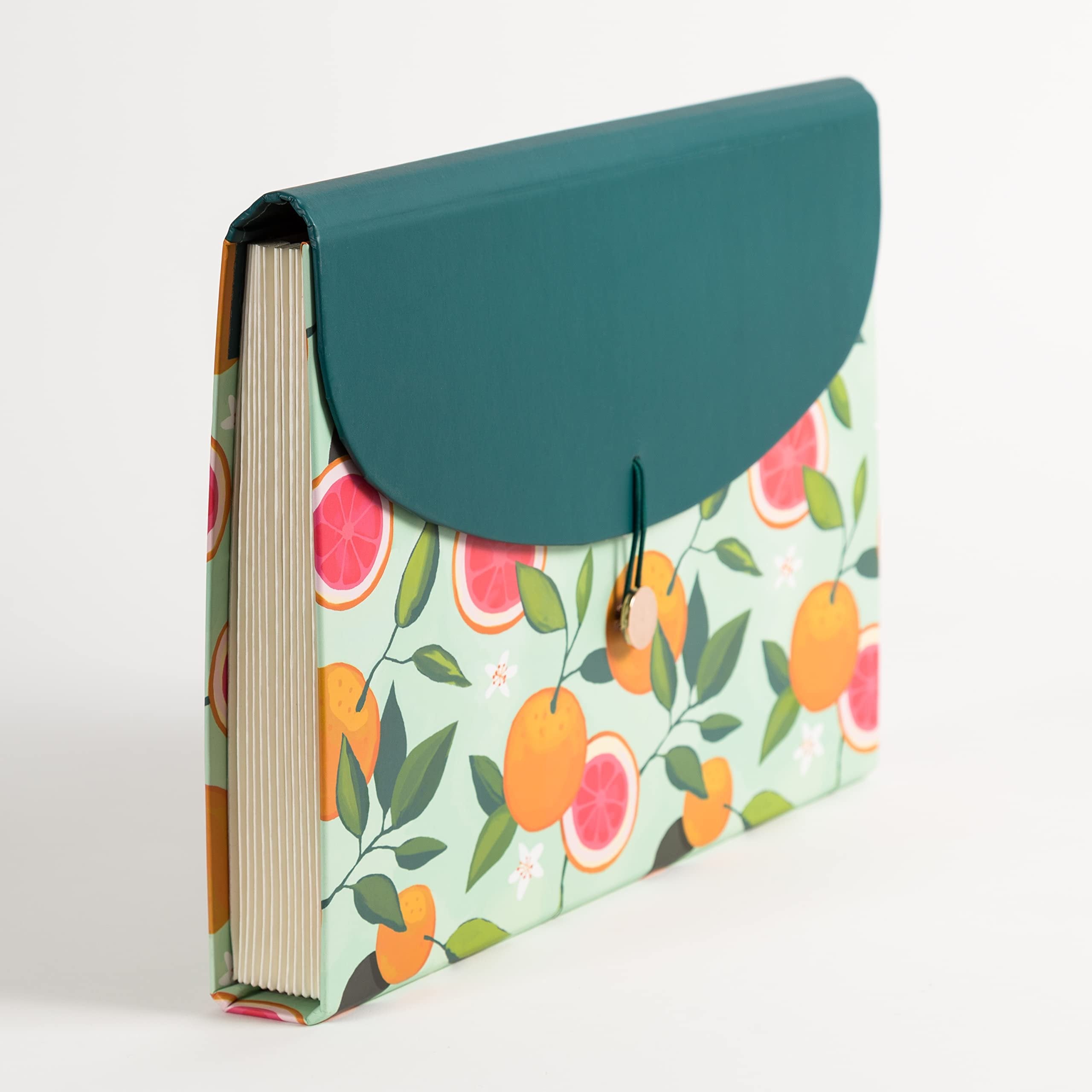 U Brands 13-Pocket Expanding File Folder, Office Supplies, Citrus Squeeze, Brass Hardware, FSC Certified