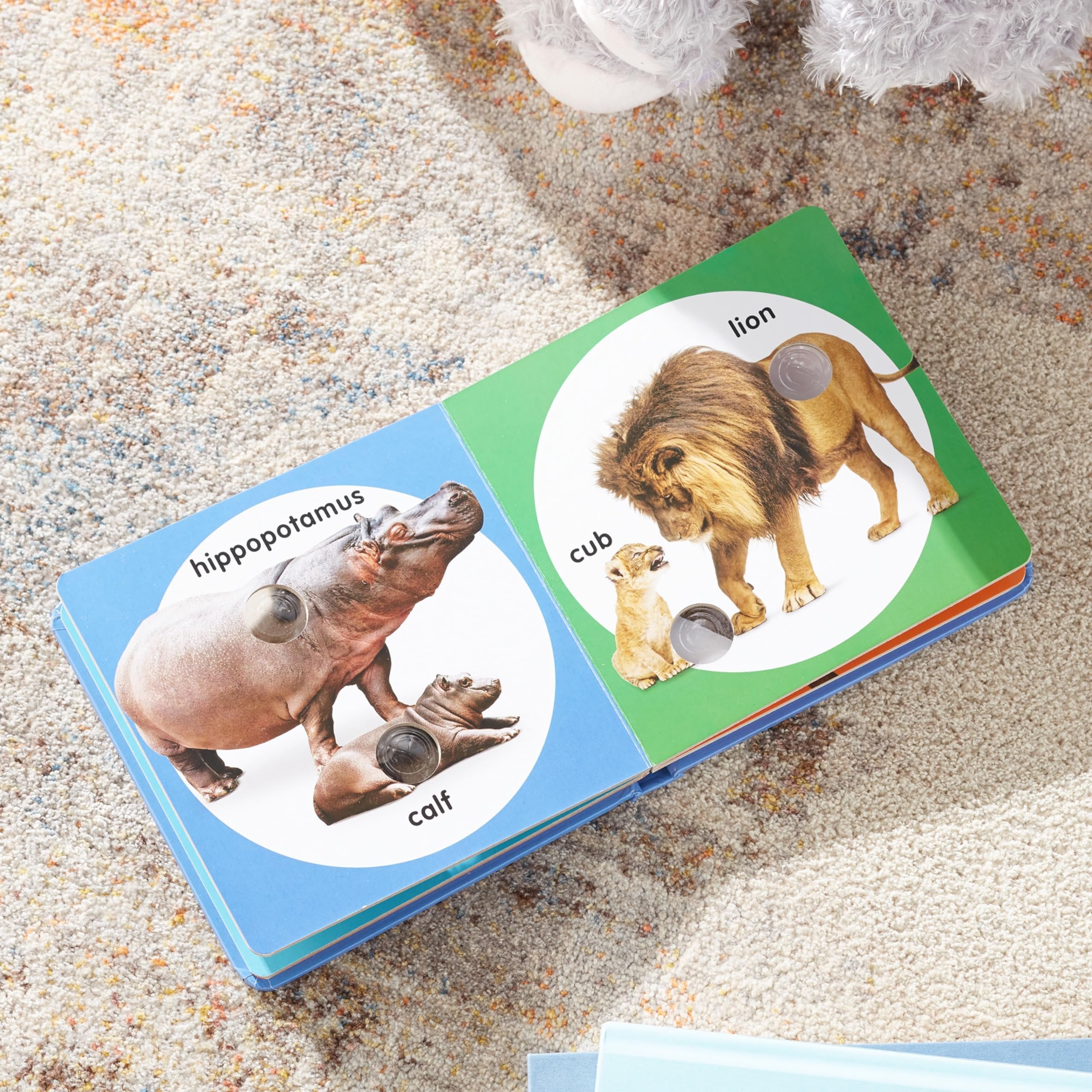 Melissa & Doug Children’s Book – Poke-a-Dot: Wild Animal Families (Board Book with Buttons to Pop)