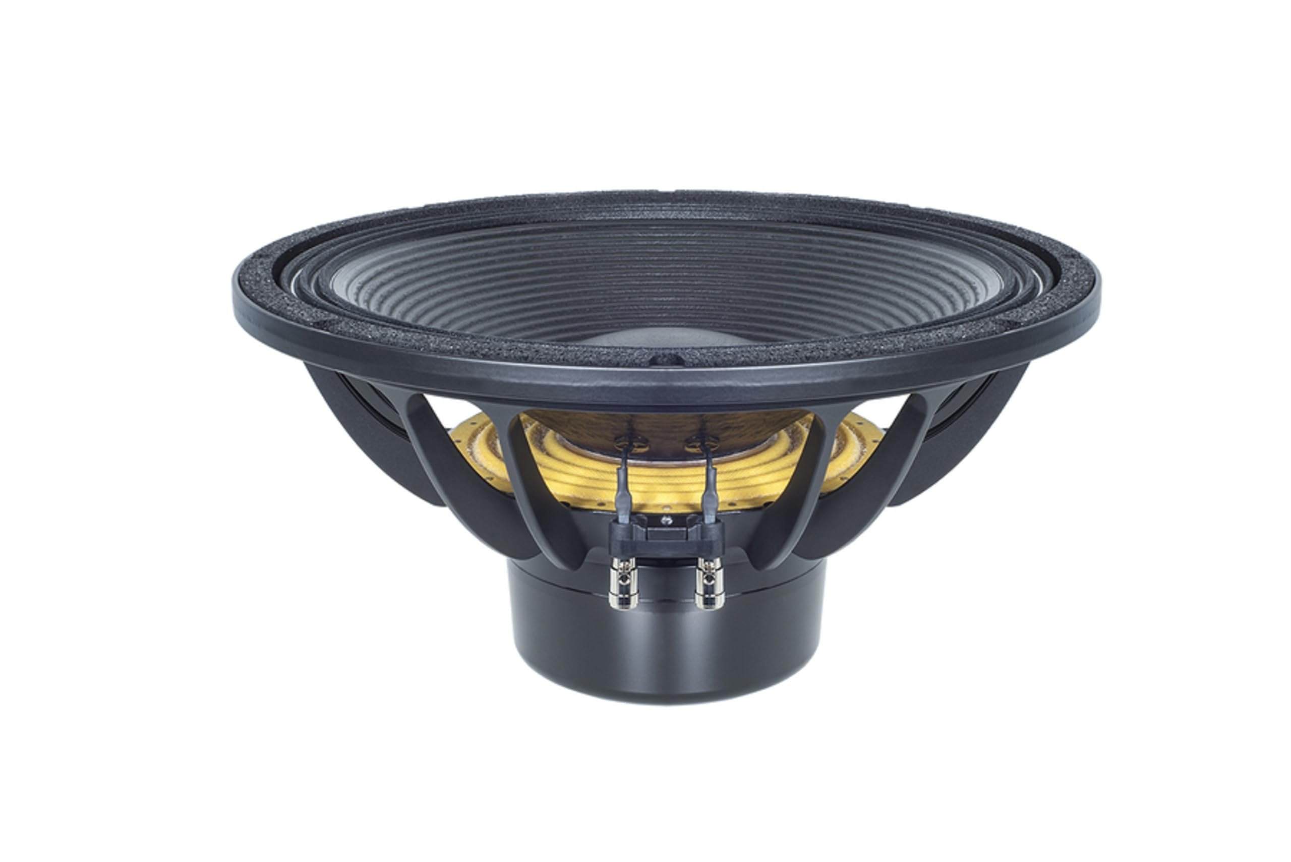 B & C Speaker 15DS100-4 LF Drivers 15-inch Woofer 4 Ohms Impedance 1500 Watt RMS / 3000 Watt Max Pro Audio Component Speaker Driver for Motorcycle Car with Ventilated Voice Coil Gap,Black