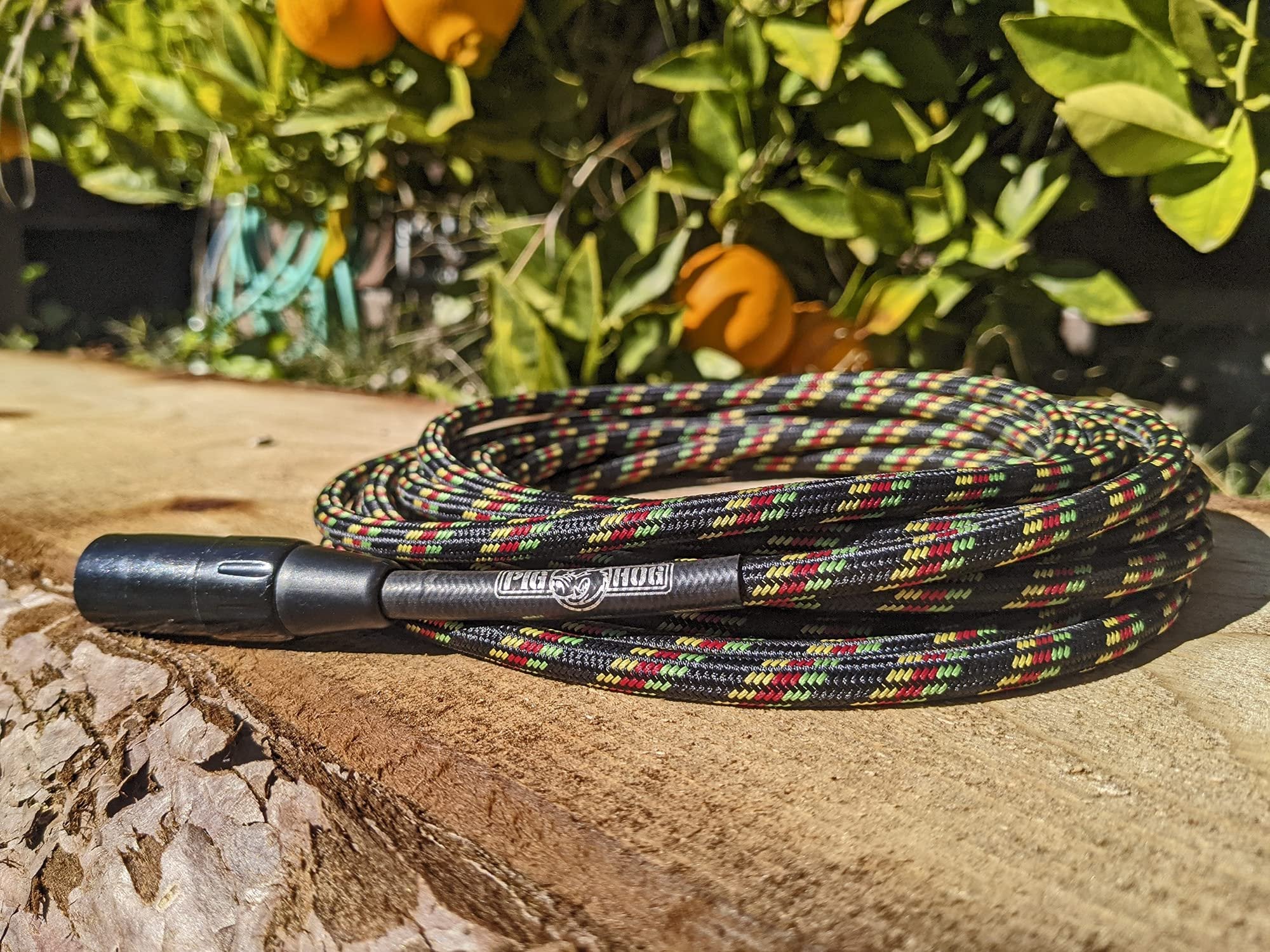 Pig Hog PHM20RAS Rasta Stripe Woven High Performance XLR Microphone Cable, 20 Feet