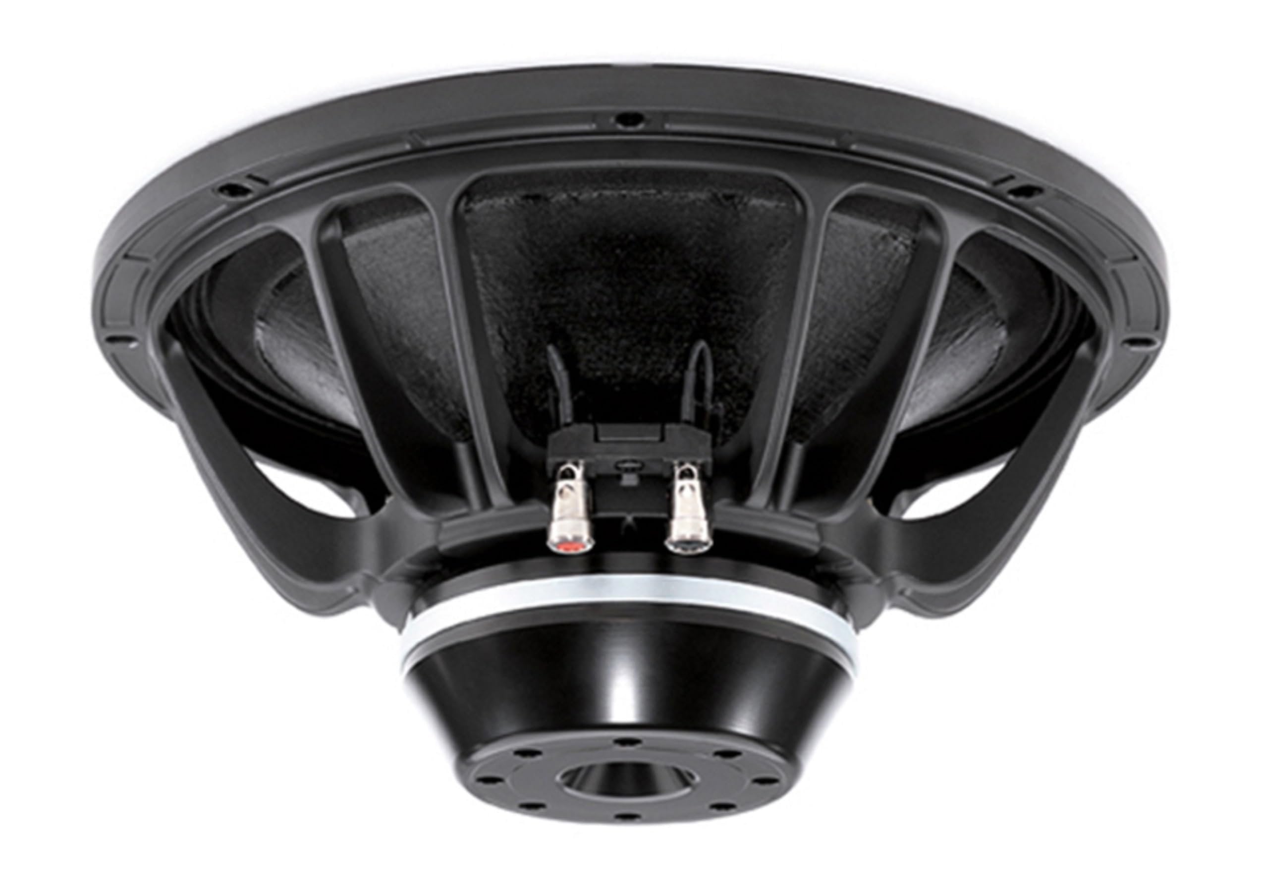 B&C Speakers 12NW76-8 LF Drivers 12-Inch Woofer 8 Ohms Impedance 500 Watts Rms 1000 Watts Max Continuous Power Handling Capacity Neodymium Ring Pro Audio Component Speaker Driver for Motorcycle Car