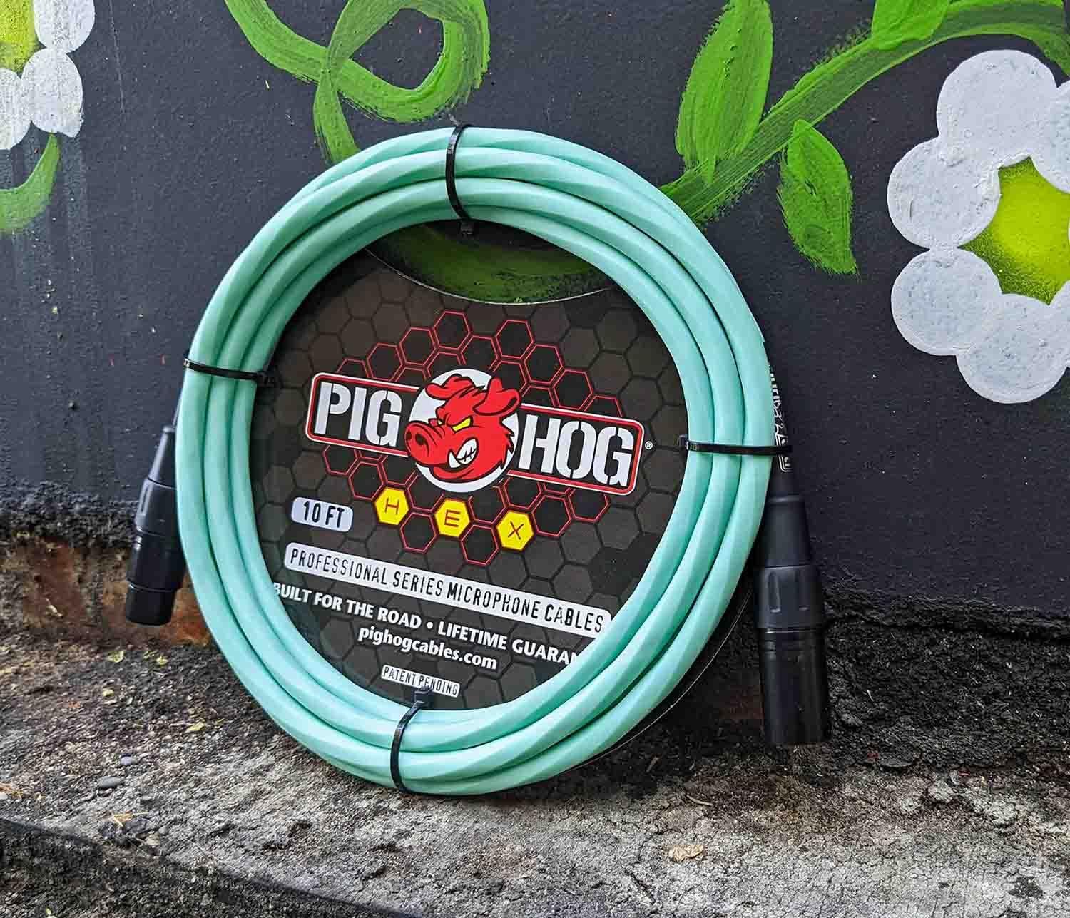 Pig Hog PHMH10SG Hex Series Mic Cable, Seafoam Green 10ft