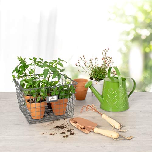 Spectrum Diversified Wire, Vintage Locker Basket Style, Rustic Farmhouse Chic Steel Storage for Closets, Pantry, Kitchen, Garage, Bathroom & More, Medium, Pack of 6, Industrial Gray, 6 Count