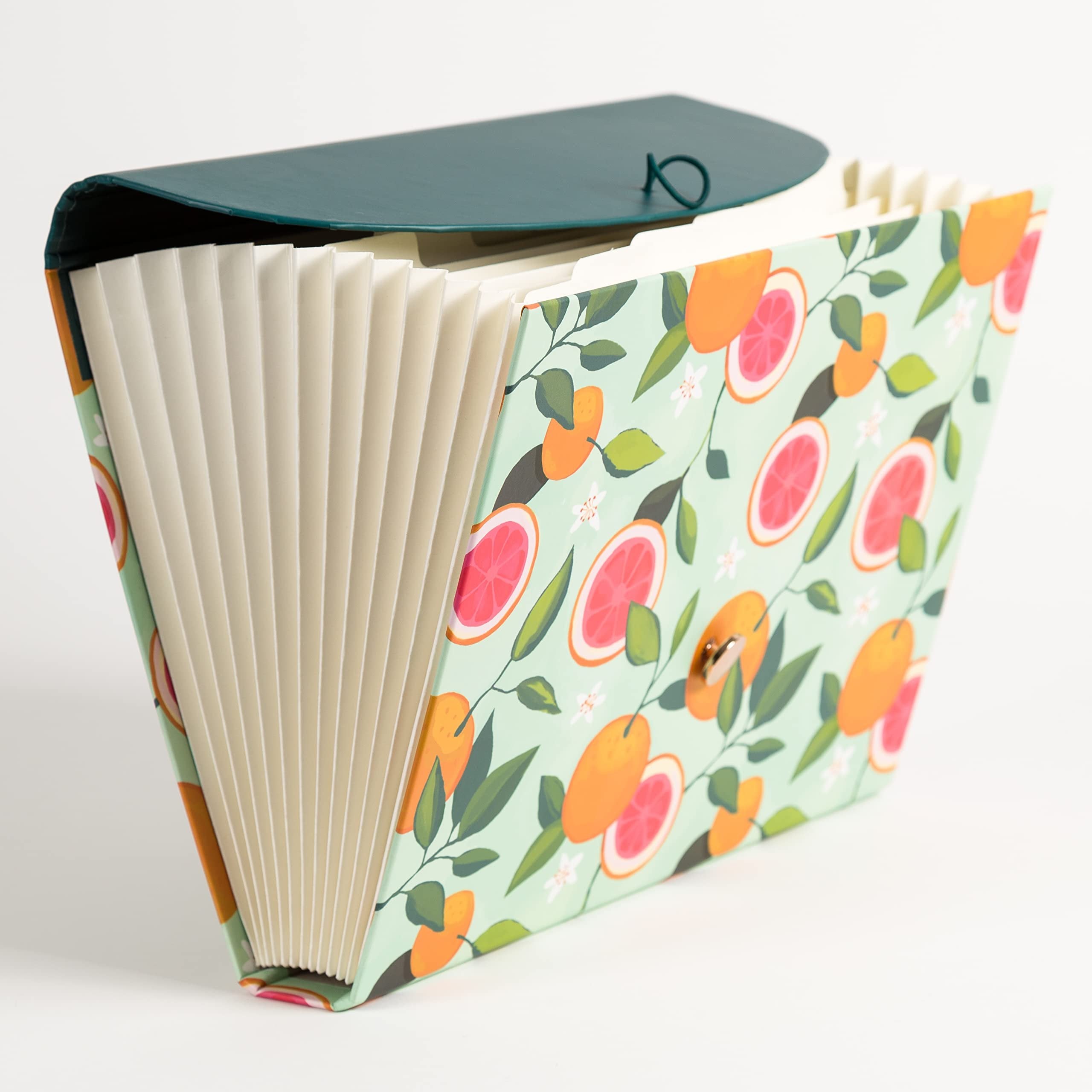 U Brands 13-Pocket Expanding File Folder, Office Supplies, Citrus Squeeze, Brass Hardware, FSC Certified