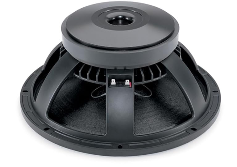 B&C Speakers 15PZB100 15-inch LF Drivers Subwoofer 4-inch Copper Voice Coil Woofer Cone TWP Waterproof Both Sides 700 Wrms 1400 Watt Peak Pro Audio Speaker 8 Ohm