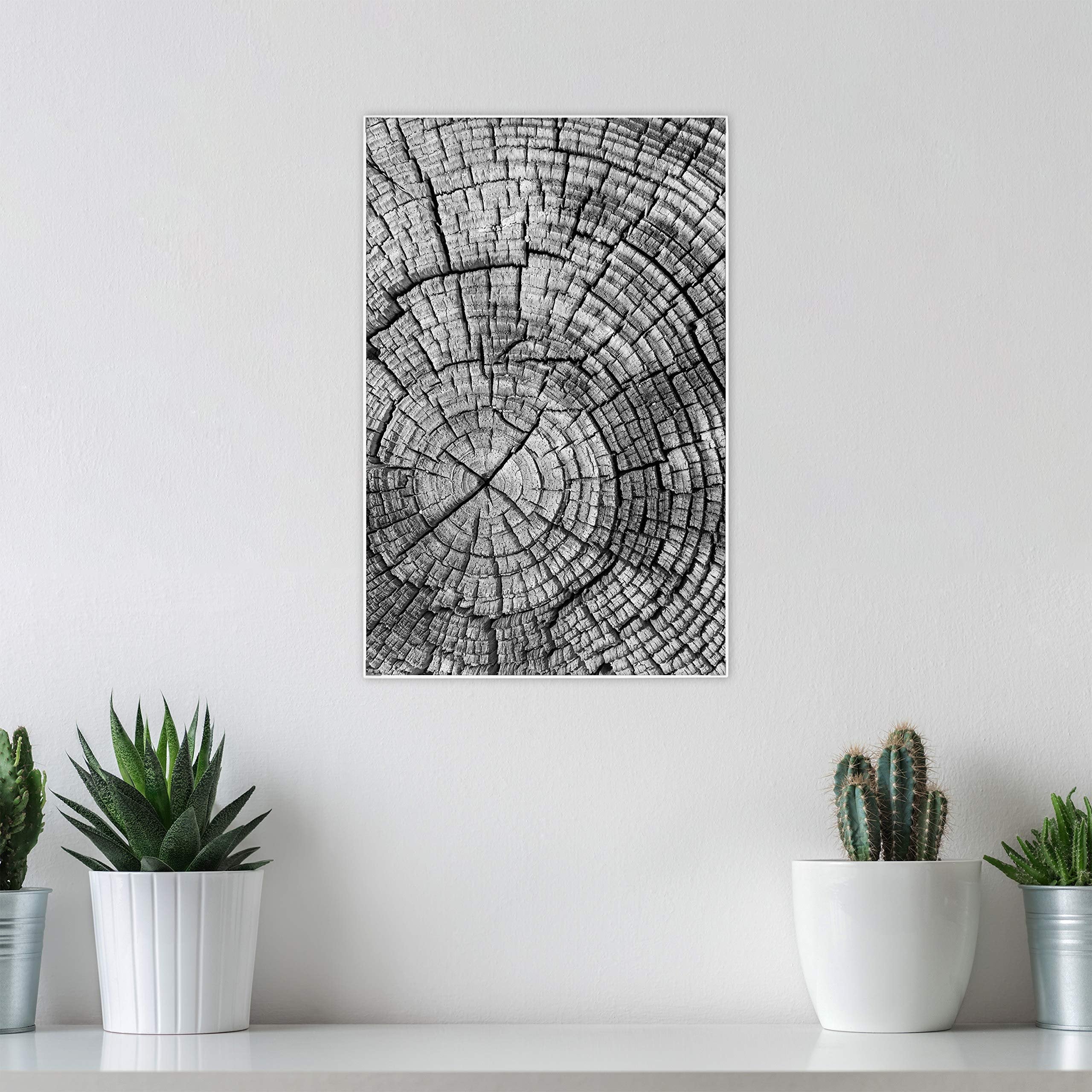 MCS Format Frame, White, 11 x 17 in, Single