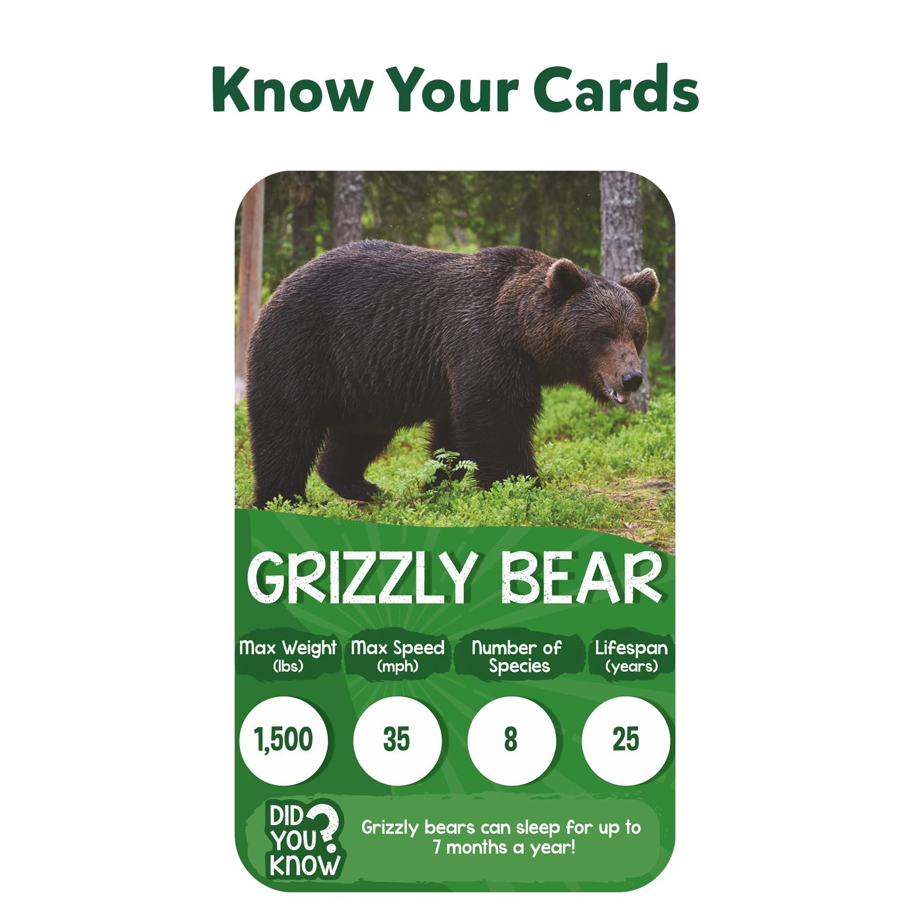 Skillmatics Trump Card & Board Game - Rank & Roll Animals, Memory Strategy Game, Gifts for Kids, Teens & Adults