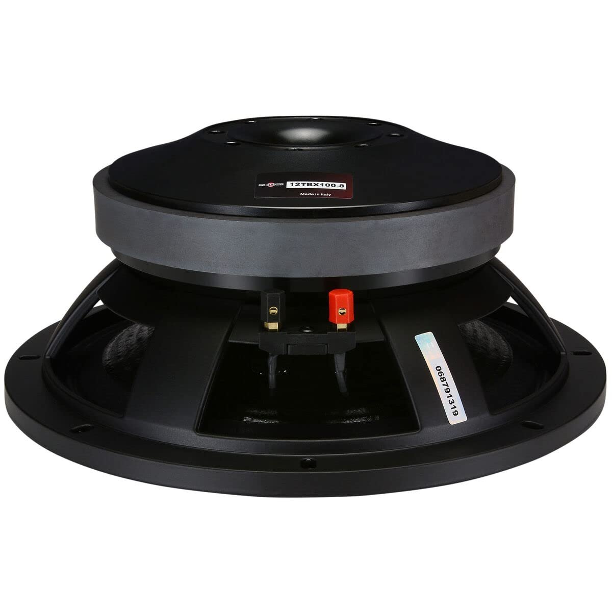 B&C 12TBX100-4 12.0-in Woofer W/4 Ohms Impedance & 2000 Watts Continuous Power Handling Capacity & Ferrite Magnet