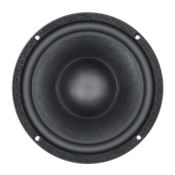 B&C Speakers 10BG76-4 LF Drivers 10-Inch NEO Rolled Edge Woofer 4- Ohms Pro Audio Component Speaker Driver for Motorcycle Car