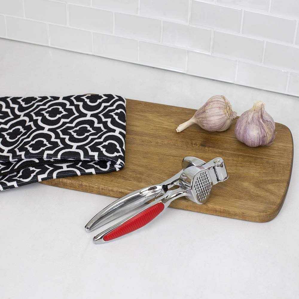 Home Basics Zinc Garlic Press