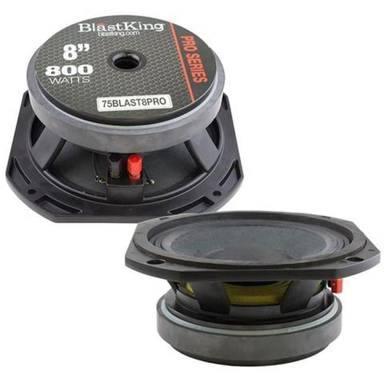Blast King 8 in. High Power Low Frequency Transducer