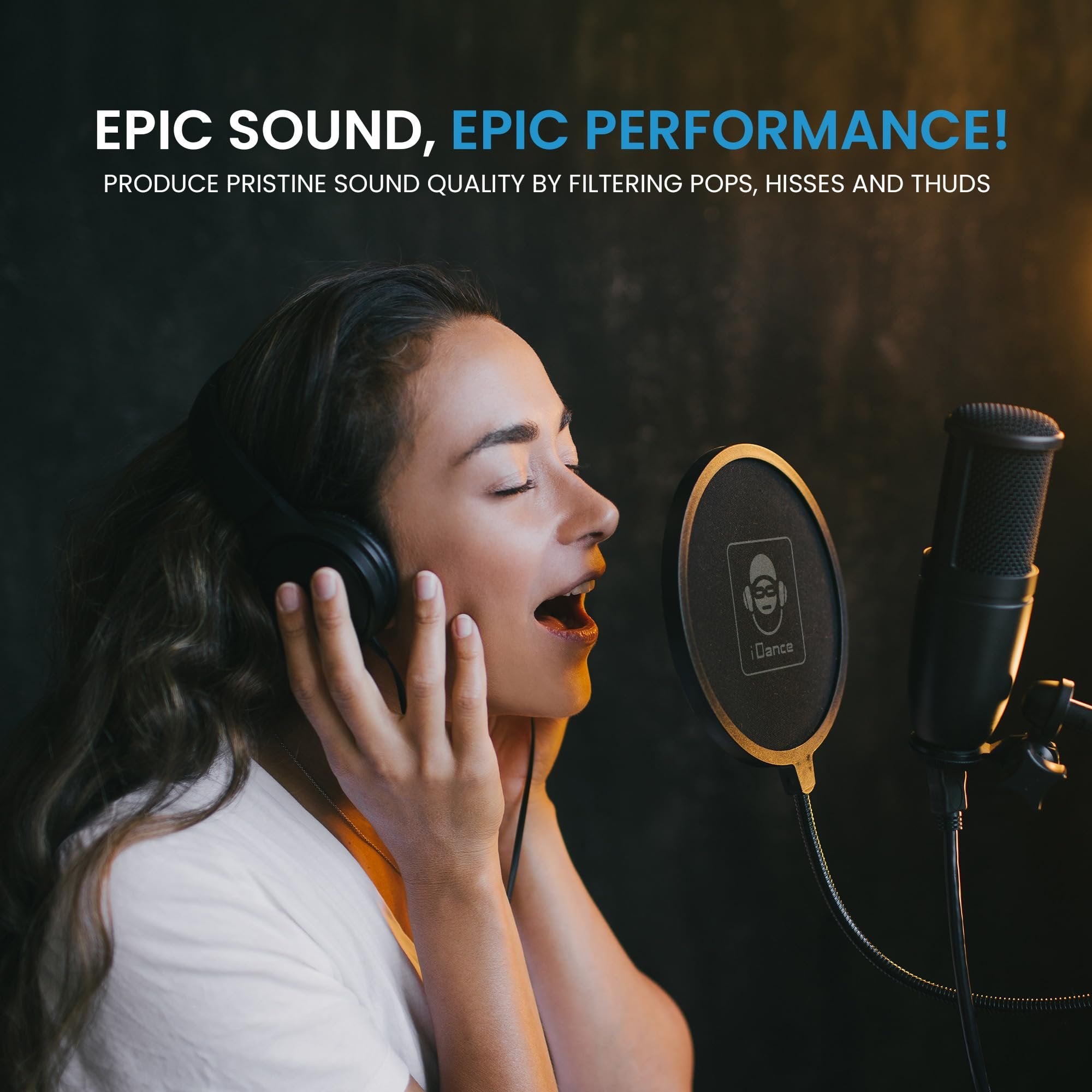 iDance Professional Microphone Pop Filter Shield, Wind Pop Screen with Flexible 360 Degree Gooseneck Clip Stabilizing Arm for Vocal Recording and Live Broadcasting