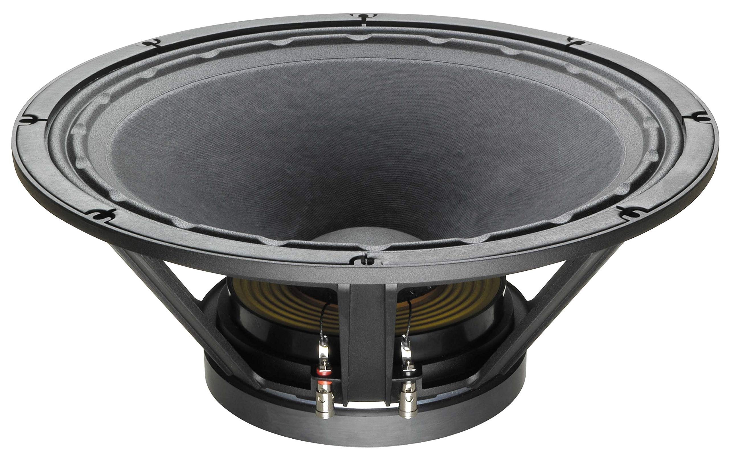 CELESTION FTR184080FD FTR Series 18-Inch 1000-Watt Subwoofer, Black