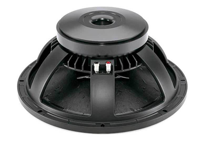 B & C Speakers 15PS100-8 15-Inch Mid Bass Woofer LF Drivers 700 Wrms 1400 Watts Pro Audio Component Speaker Driver for Motorcycle Car 8 Ohm