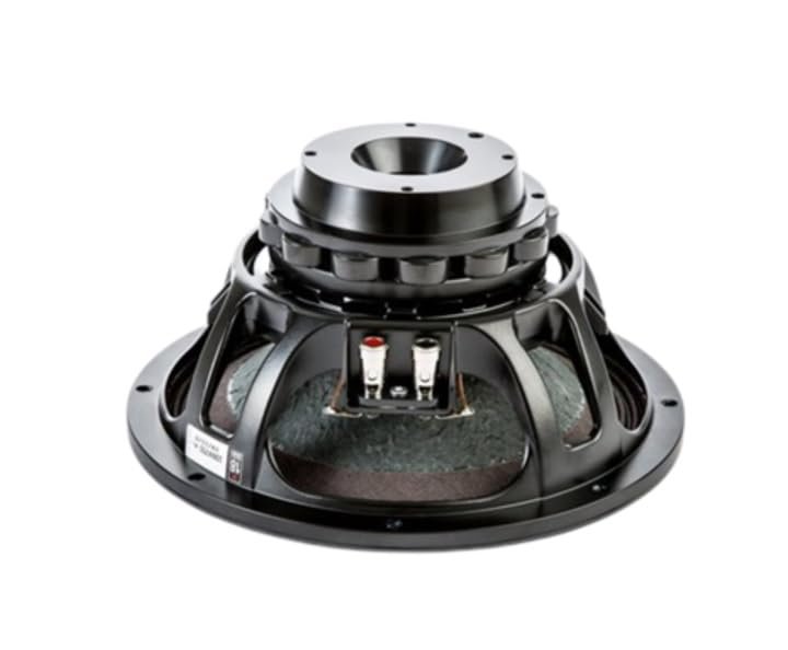 Eighteen Sound 10NW750-8 Neo Mid Bass 10-inch State of The Art Low Frequency Woofer with Neodymium Magnet Structure