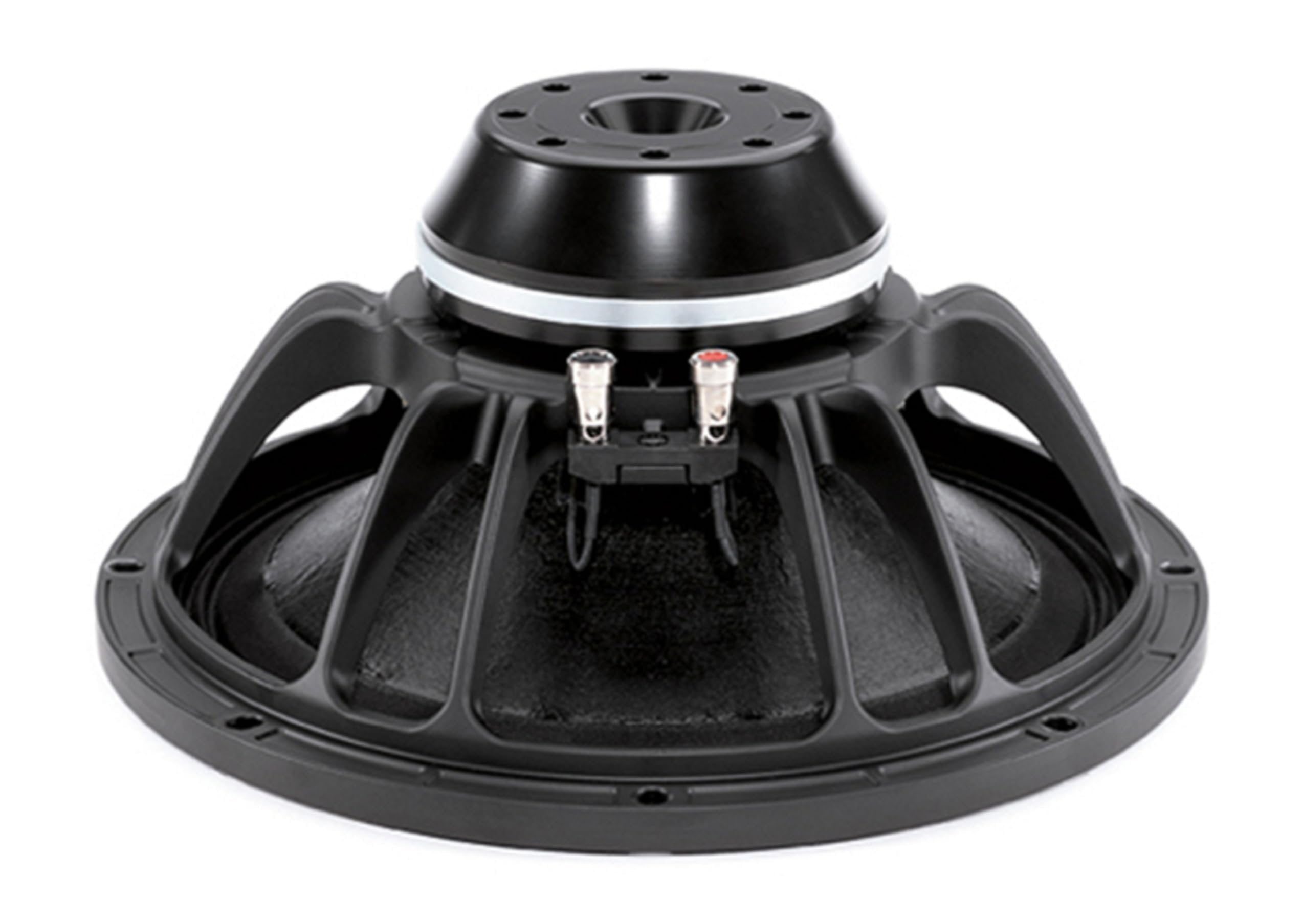 B&C Speakers 12NW76-8 LF Drivers 12-Inch Woofer 8 Ohms Impedance 500 Watts Rms 1000 Watts Max Continuous Power Handling Capacity Neodymium Ring Pro Audio Component Speaker Driver for Motorcycle Car