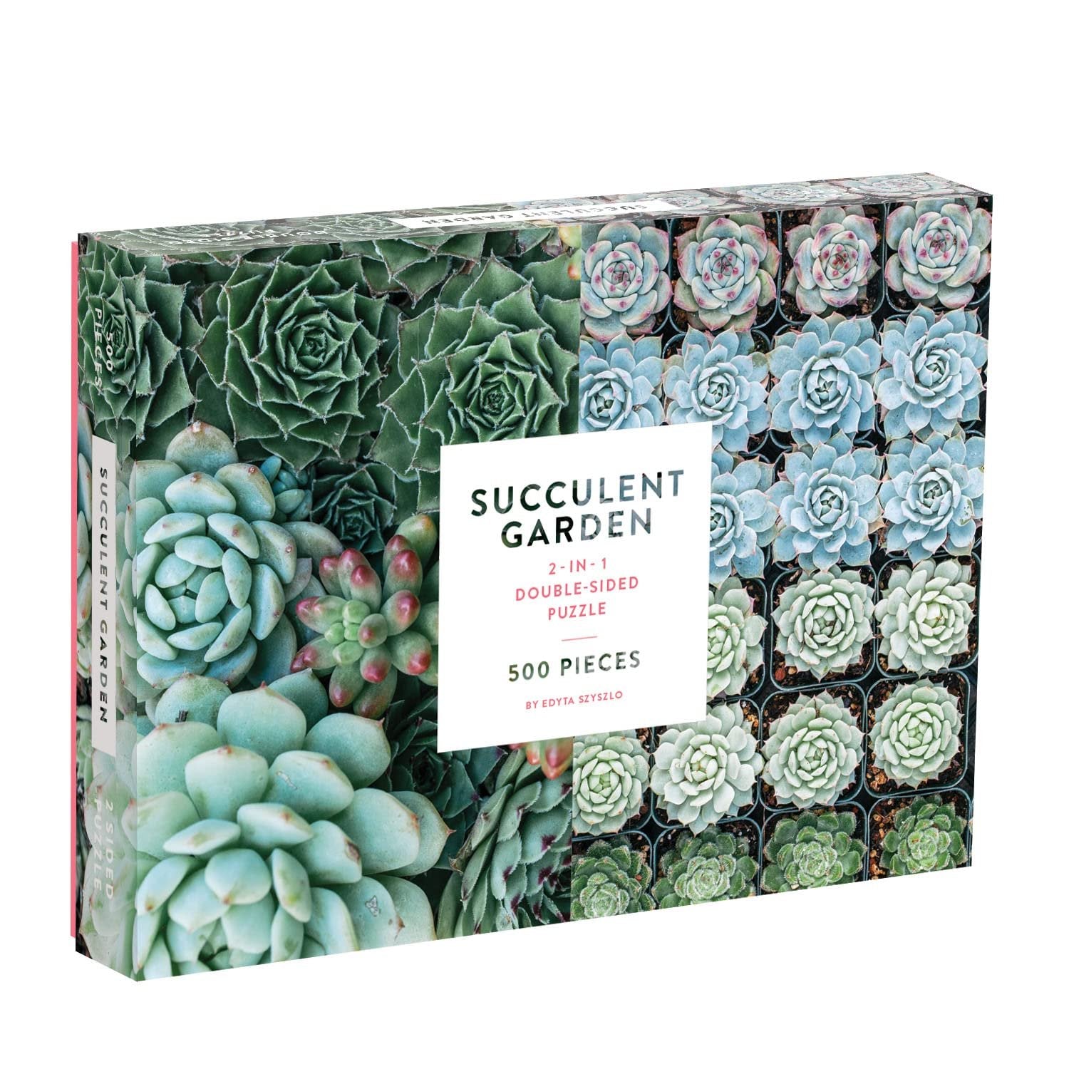 Galison Succulent Garden 500 Piece Double Sided Jigsaw Puzzle for Adults and Families, Fun Family Puzzle with Plants and Succulent Theme, Multicolor