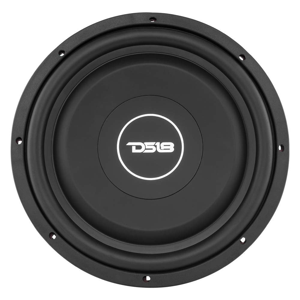 DS18 SRW12.4 Shallow Subwoofer - 12" Speaker, 440 MAX Power, 220W RMS, Rubber Edge and Paper Cone, Red Steel Basket, Voice Coil 4 Ohm Impedance