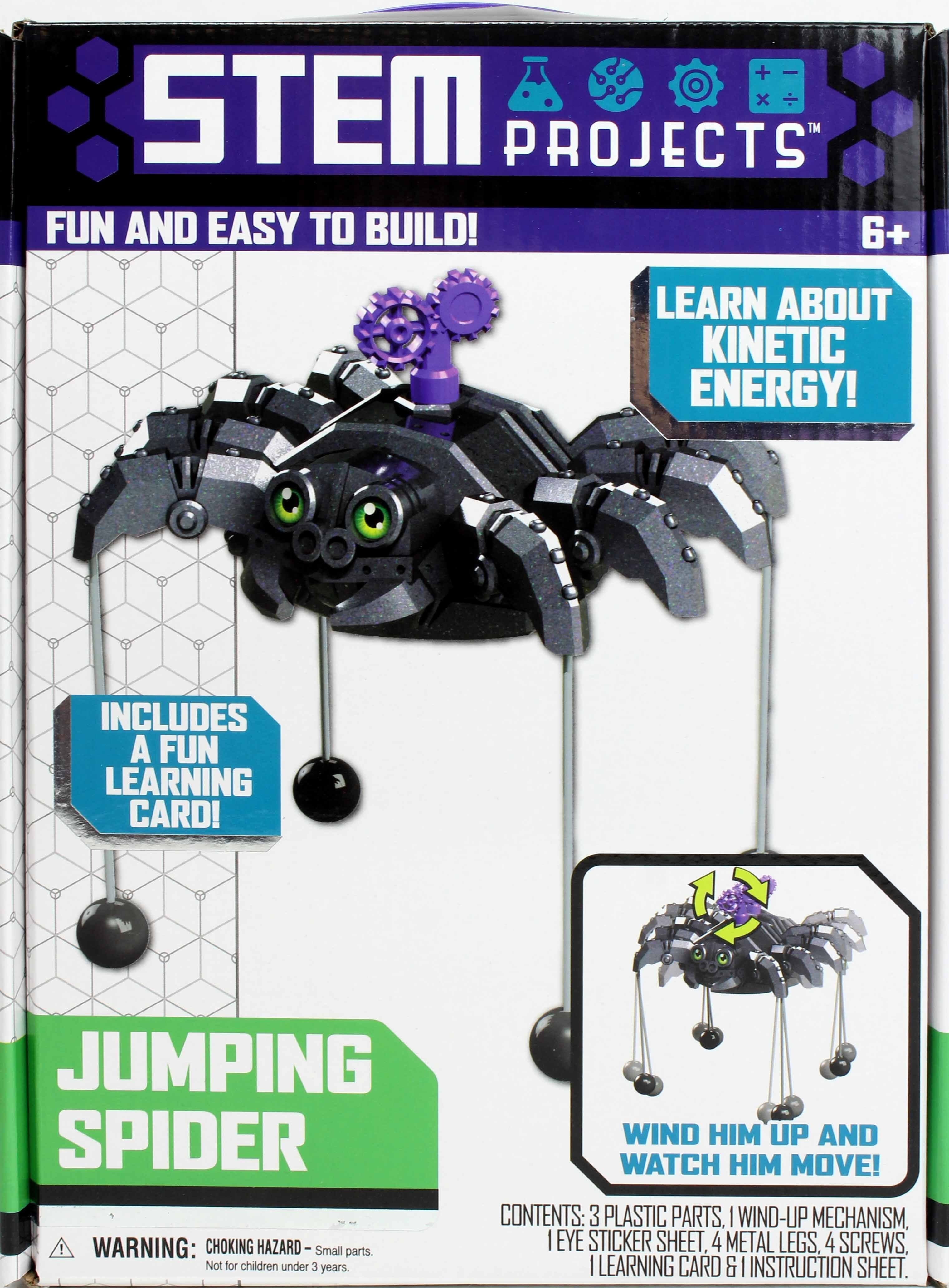STEM Projects Jumping Spider
