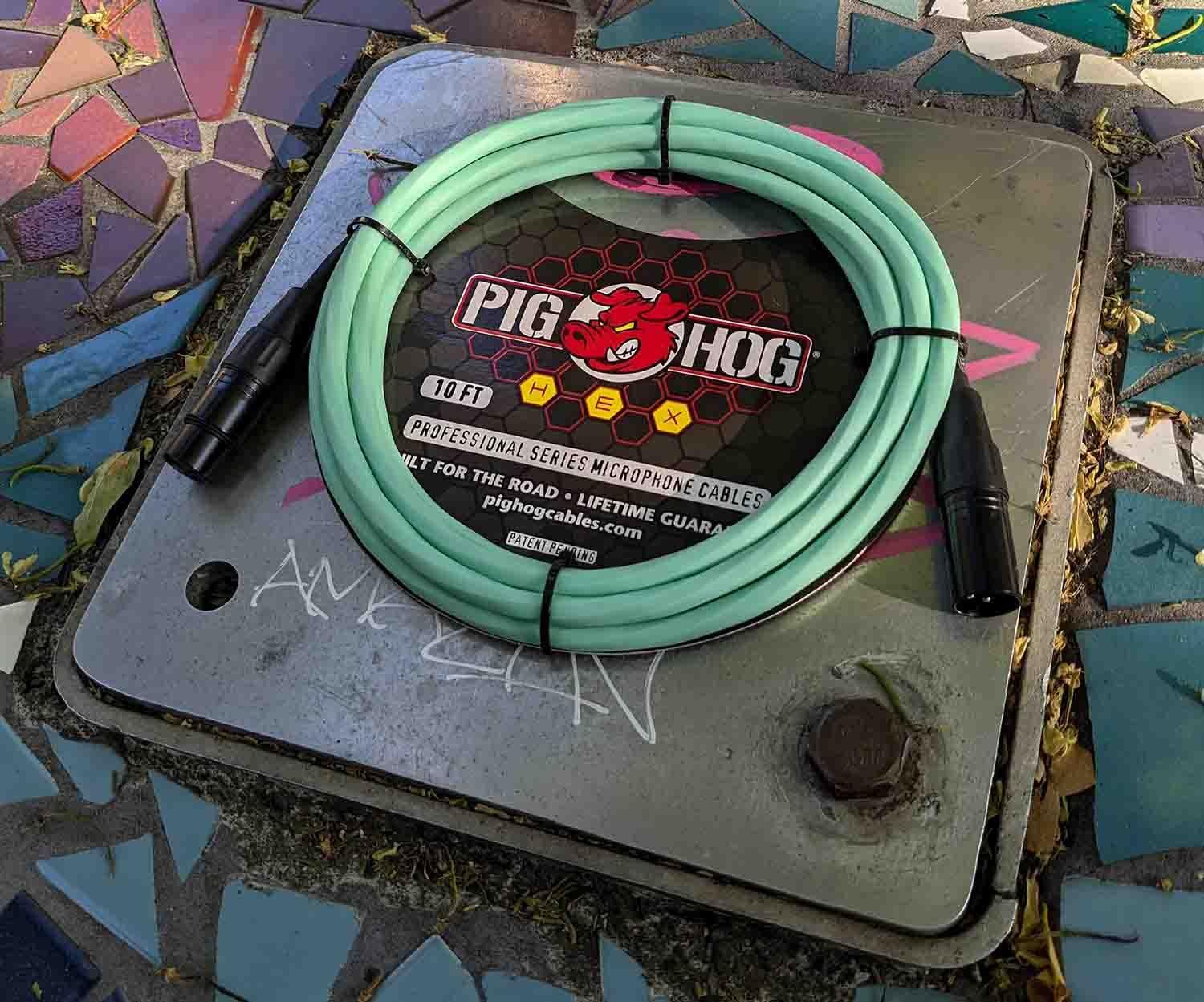 Pig Hog PHMH10SG Hex Series Mic Cable, Seafoam Green 10ft