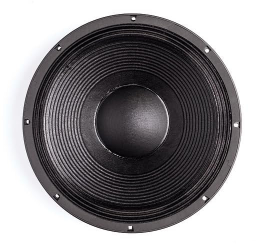 B & C Speakers 15PS100-8 15-Inch Mid Bass Woofer LF Drivers 700 Wrms 1400 Watts Pro Audio Component Speaker Driver for Motorcycle Car 8 Ohm